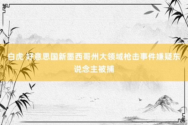 白虎 好意思国新墨西哥州大领域枪击事件嫌疑东说念主被捕