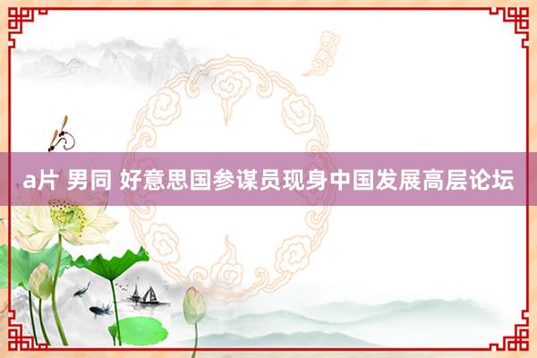 a片 男同 好意思国参谋员现身中国发展高层论坛