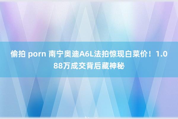 偷拍 porn 南宁奥迪A6L法拍惊现白菜价！1.088万成交背后藏神秘