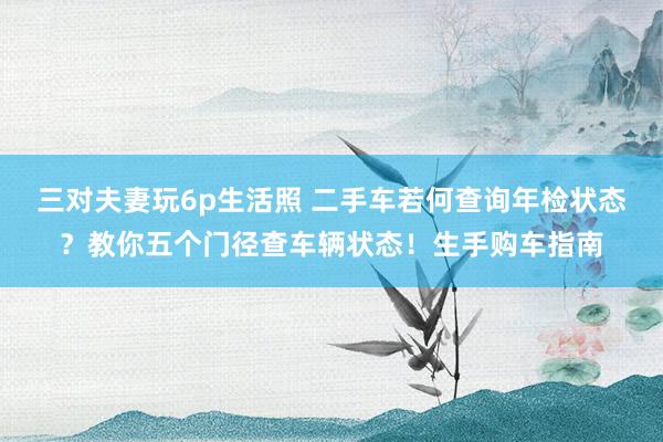 三对夫妻玩6p生活照 二手车若何查询年检状态？教你五个门径查车辆状态！生手购车指南