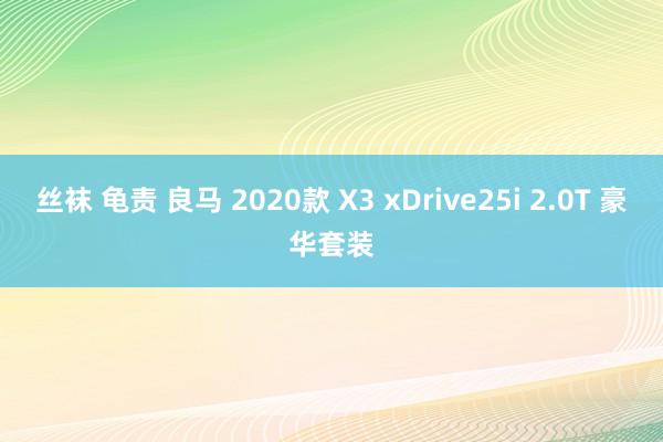 丝袜 龟责 良马 2020款 X3 xDrive25i 2.0T 豪华套装