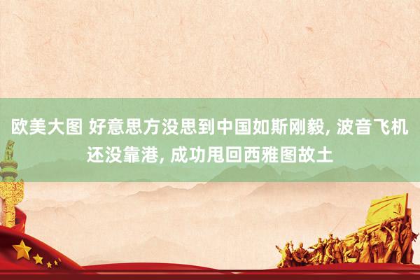 欧美大图 好意思方没思到中国如斯刚毅, 波音飞机还没靠港, 成功甩回西雅图故土