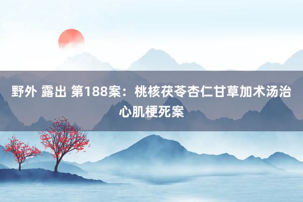 野外 露出 第188案：桃核茯苓杏仁甘草加术汤治心肌梗死案