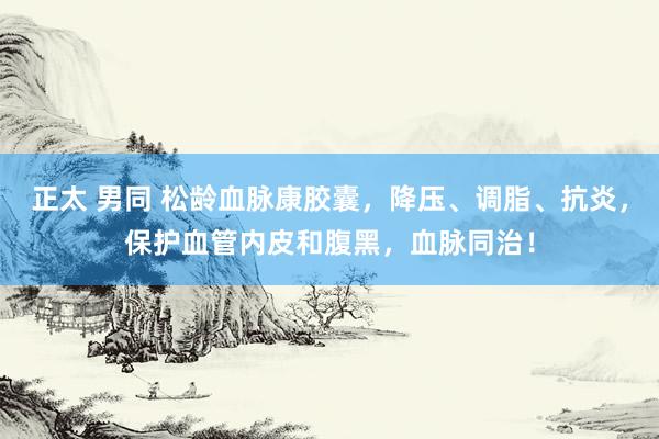 正太 男同 松龄血脉康胶囊，降压、调脂、抗炎，保护血管内皮和腹黑，血脉同治！