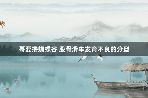 哥要撸蝴蝶谷 股骨滑车发育不良的分型