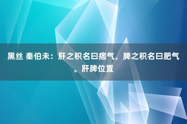 黑丝 秦伯未：肝之积名曰痞气，脾之积名曰肥气。肝脾位置