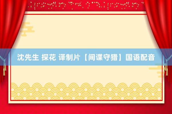 沈先生 探花 译制片【间谍守猎】国语配音
